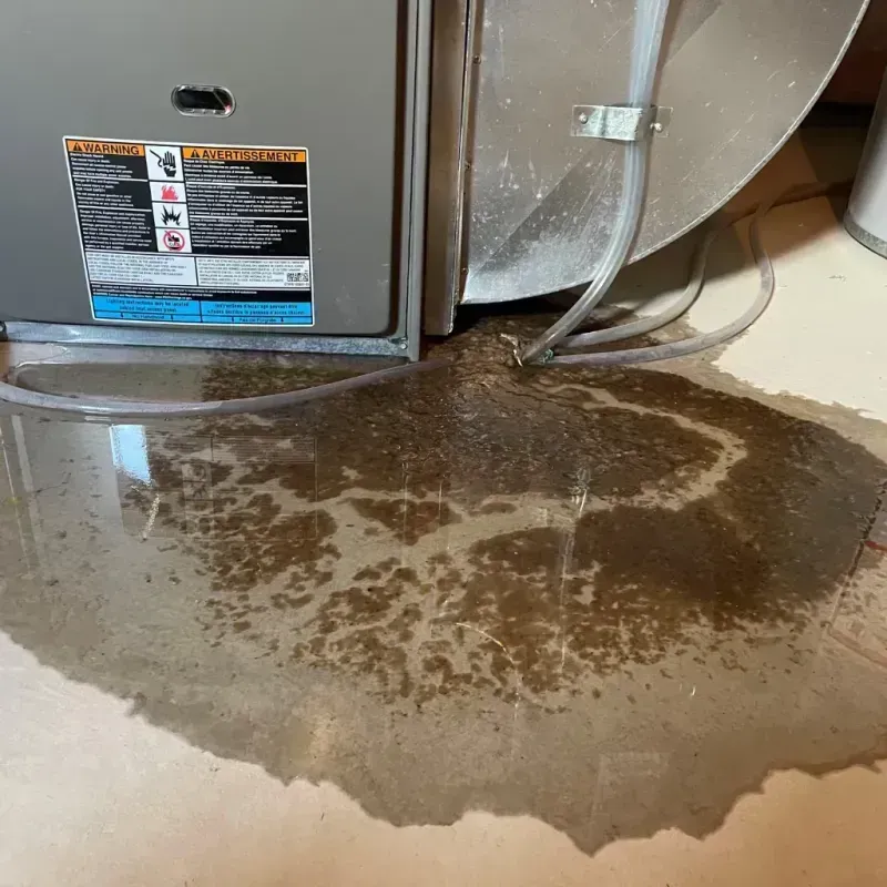 Appliance Leak Cleanup in Maytown, PA